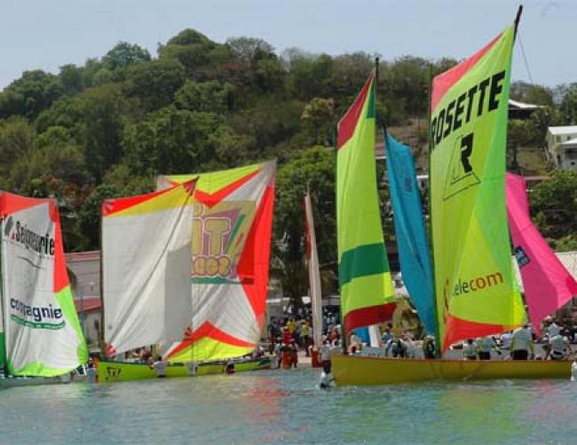 Discovering Martinique with the yole race