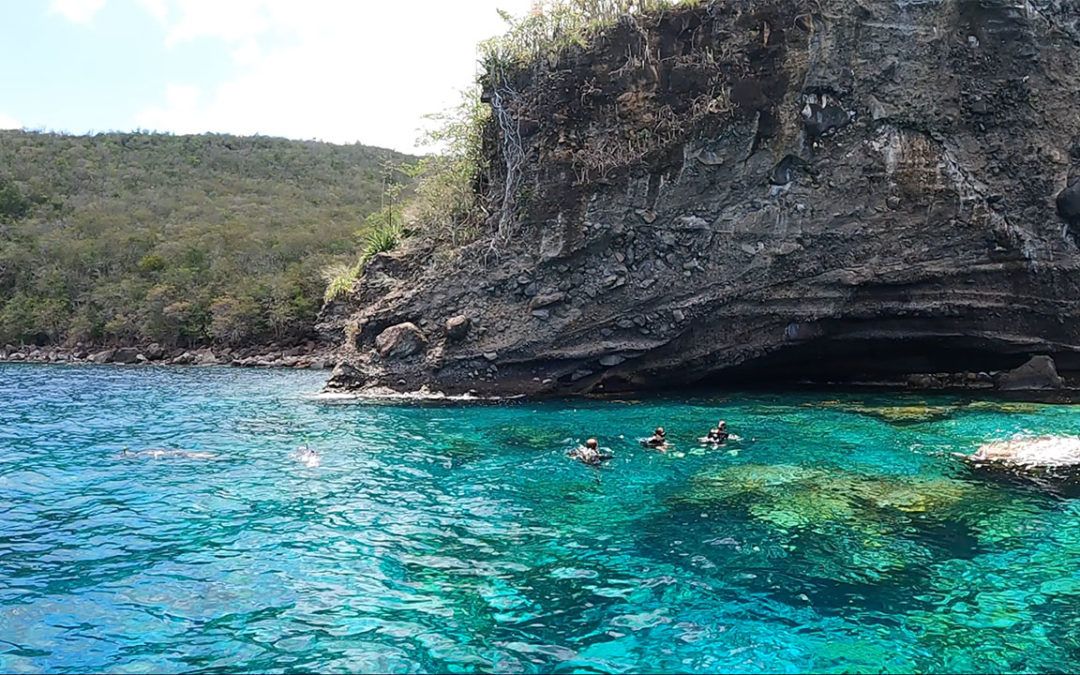 Diving at 3 Airs Cove