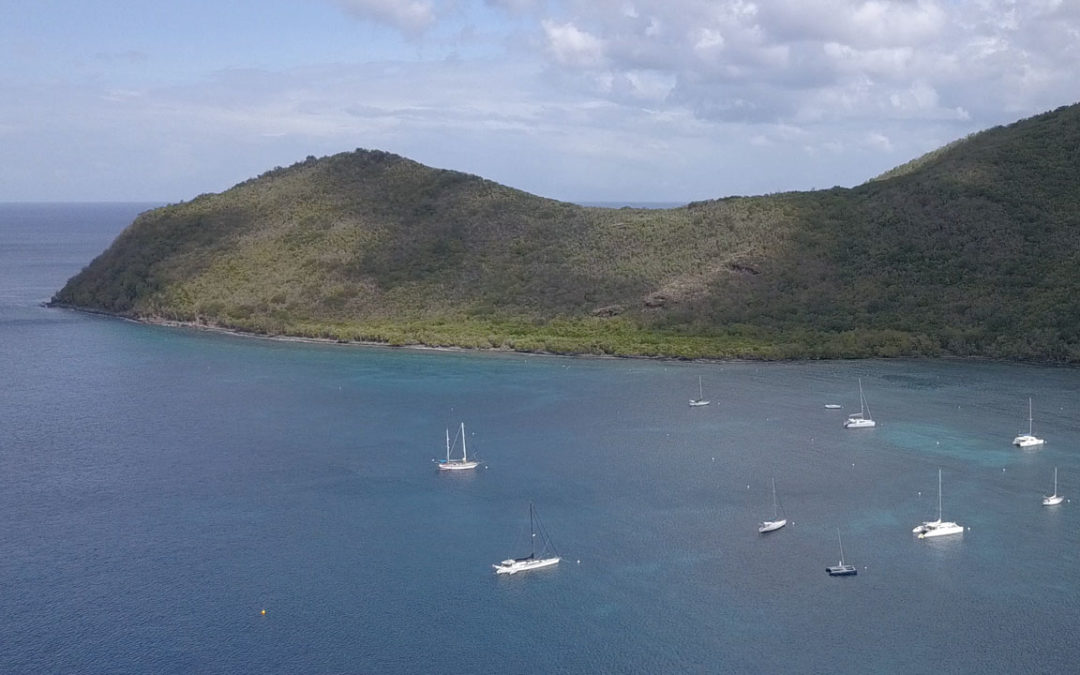 Diving in Cape Solomon