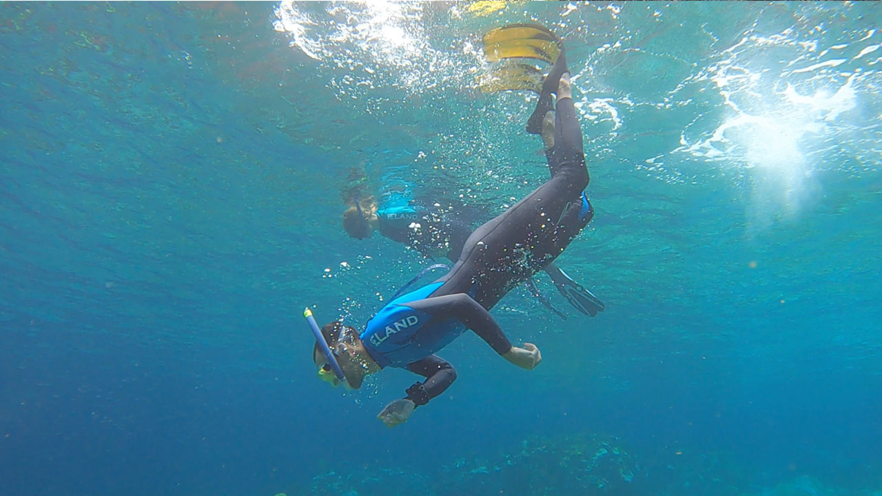 Snorkeling